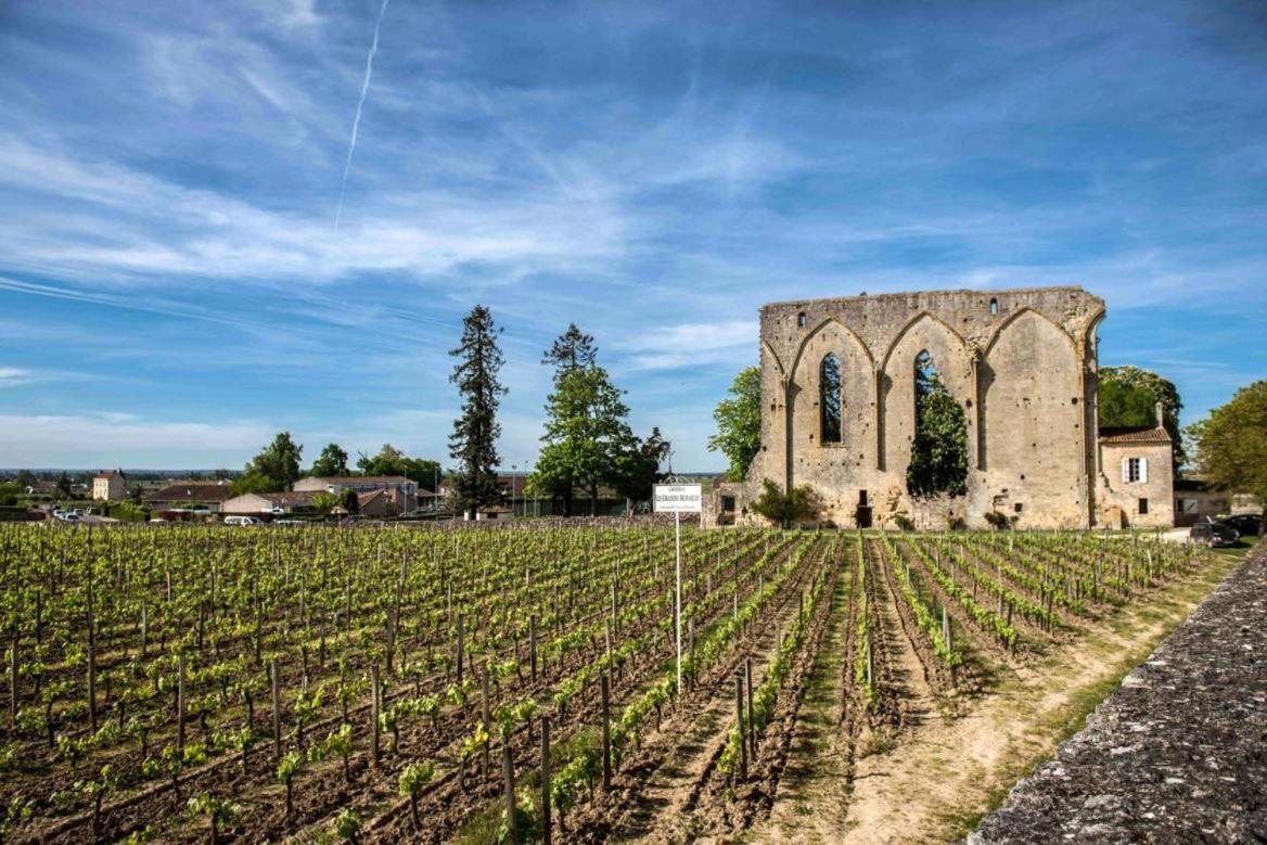 Maison Cosy Avec Vue Sur Les Vignes. Libourne Extérieur photo