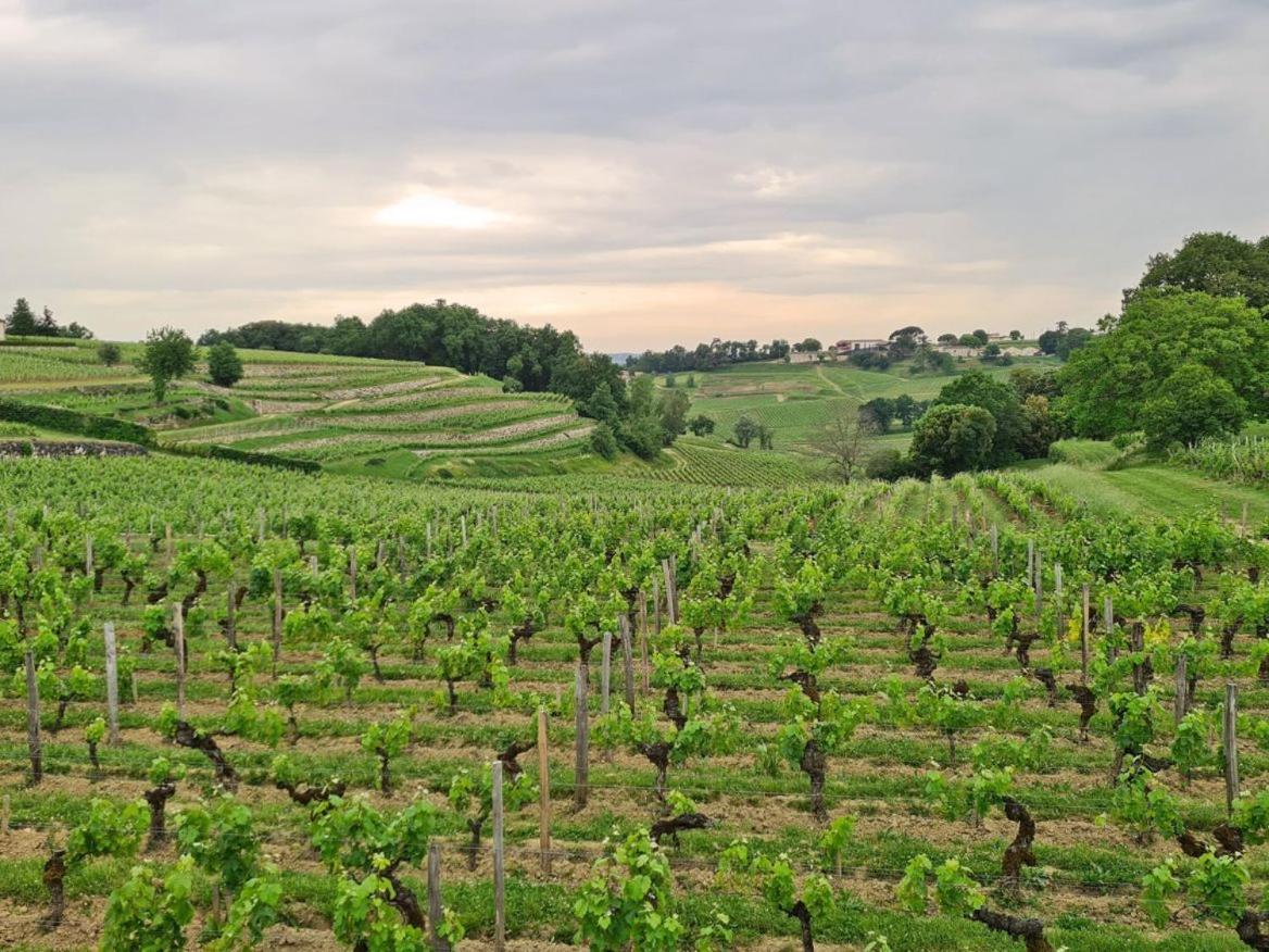Maison Cosy Avec Vue Sur Les Vignes. Libourne Extérieur photo