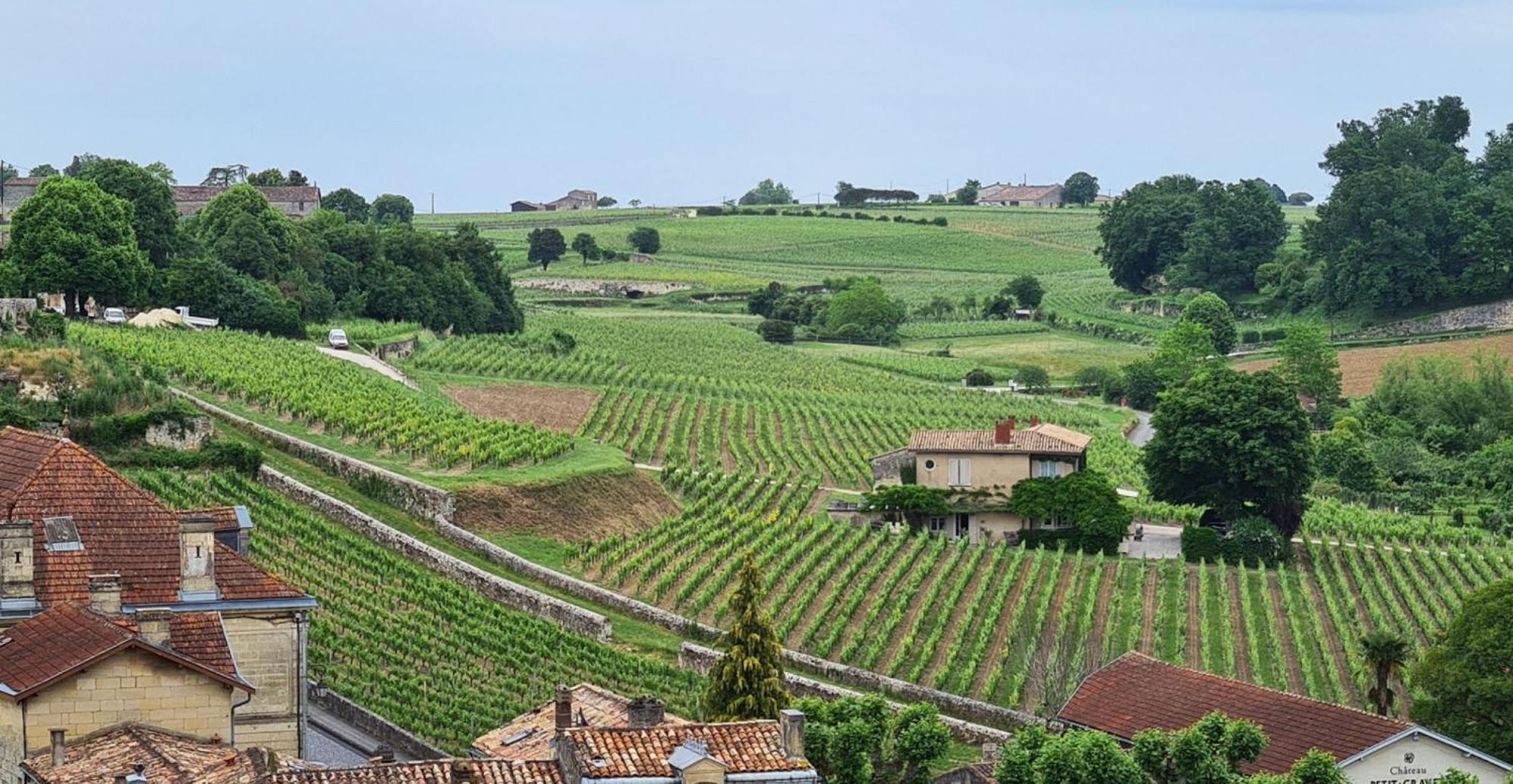 Maison Cosy Avec Vue Sur Les Vignes. Libourne Extérieur photo