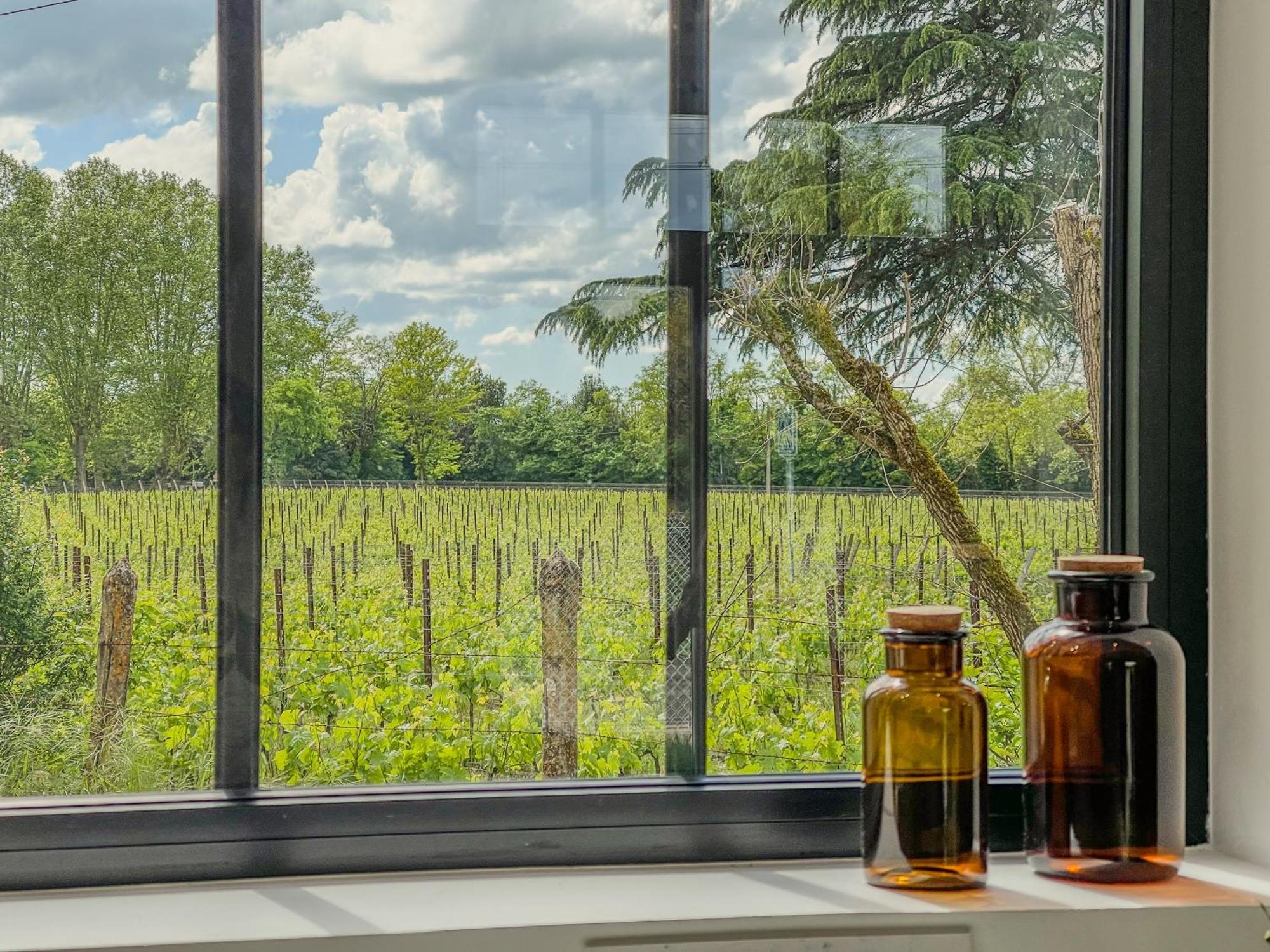 Maison Cosy Avec Vue Sur Les Vignes. Libourne Extérieur photo